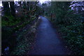 SX5167 : Cycle Path, Yelverton by jeff collins
