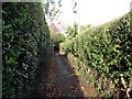 Llwybr Waunarlwydd Path