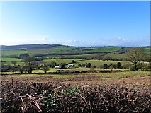 SO4903 : View  from the road across fields to farm buildings by Ruth Sharville
