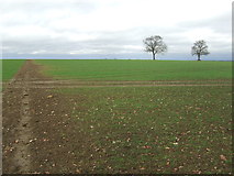 TL5643 : Footpath Field And Trees by Keith Evans