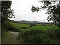 Farmland on the east side of the unnamed lane