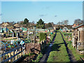 Allotments, Staines