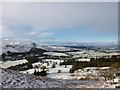 Strath Endrick and Fintry in snow