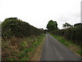 View south along Back Road