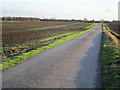 Roadway to Lodge Farm