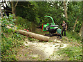 SP2965 : Preparing to move felled tree trunks, Riverside Walk, Warwick by Robin Stott