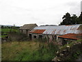 Tin-roofed outbuildings on Ballinasack Road