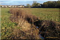 Stream through Oxley Mead