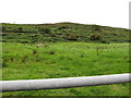 Rough pasture on the eastern slopes of Cashel