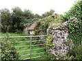 Derelict homestead on Cashel Road