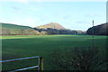 Farmland at Laggan Holm