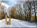 Pillars on the site of Orbiston Community