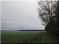 View towards Isle of Man Wood