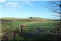 Farmland near Balkissock