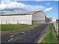 Dairy farm sheds on the Killard Road