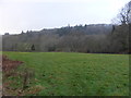 Field near Coed Coch