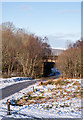 Railway bridges at Connel (2)