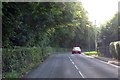 Cumeragh Lane in Cumeragh Village