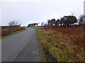 Unfenced road near Dol-goch