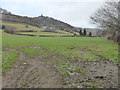 Fields near Fron-isaf