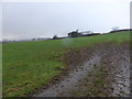 Fields near Ffrith Lon