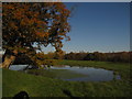 Pond on Lundsford Farm