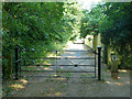 Gate at Langley Park boundary