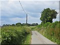 Road between Lyonshall and Bollingham