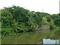 Old wharf, Slough Arm, Grand Union Canal