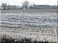 SJ4760 : Frozen stubble field, east of Gatesheath by Christine Johnstone