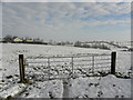 Wintry, Glennan