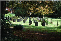 TG0610 : Graveyard, Church of All Saints' by N Chadwick