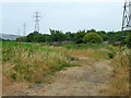 Path and pylons near Iver