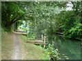 Small staging, Slough Arm, Grand Union Canal