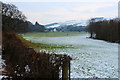 Farmland near Pinwherry