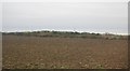 Farmland near Sedgebrook