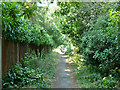 Public footpath towards Pinewood Road