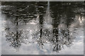 TQ1477 : Frozen Lake, Osterley Park, Isleworth by Christine Matthews