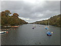 Rudyard Lake: view from the dam end