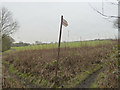 Footpaths at Billinge Higher End