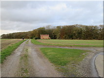 SE9146 : Kiplingcotes  Race  Course  going  left  of  Enthorpe  Wood by Martin Dawes