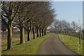 Driveway to Barnfield Farm