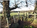 Llwybr ger Ffarm Cilfriw / Path near Kilvrough Farm