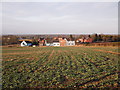 View towards the Mussel and Crab