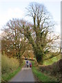 Park  Lane  toward  Dalton  Park