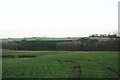 Path from Sixhills to Hainton Walk Farm