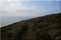 SS0497 : Pembrokeshire Coast Path towards Swanlake Bay by Ian S