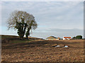 View across stubble towards Quebec Farm