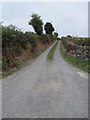 Farm access lane leading from the Ballylaughlin Road at Maghera