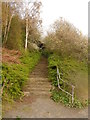 NZ2863 : Stairs linking Hadrian's Wall Path and Hadrian's Cycleway by Anthony Foster